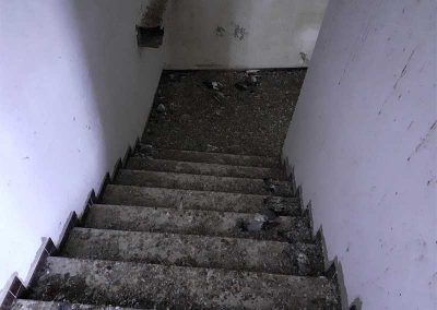 escalier fientes pigeons DIOGENE NETTOYAGE PLUS