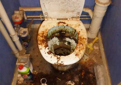 Nettoyage WC souillés DIOGENE NETTOYAGE PLUS