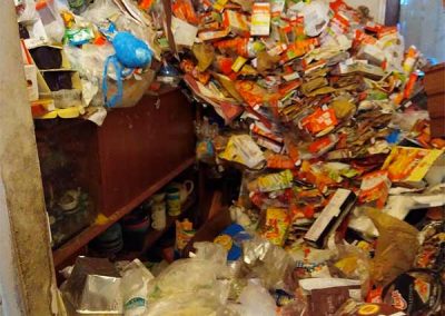 Pièce salon salle à manger déchets divers DIOGENE NETTOYAGE PLUS